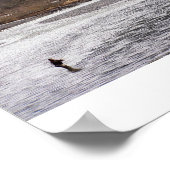 Vist in de wilde natuur poster (Hoek)