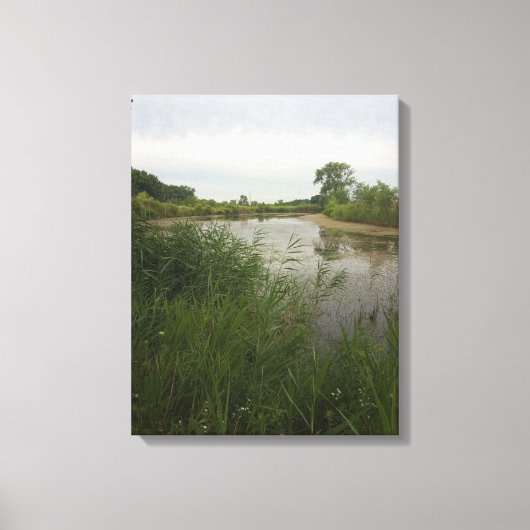 Vist in het land Verretched Canvas Print (Voorkant)