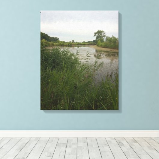 Vist in het land Verretched Canvas Print (Insitu (Houten vloer))