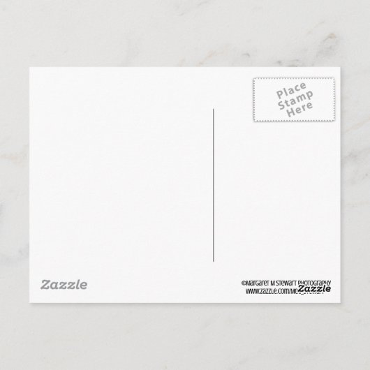 Vist Lure Happy Birthday Briefkaart (Achterkant)