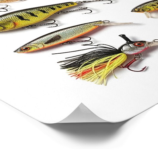 Vist Lures Collectie Poster (Hoek)
