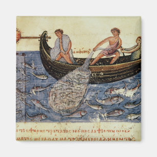 Vist met een net magneet