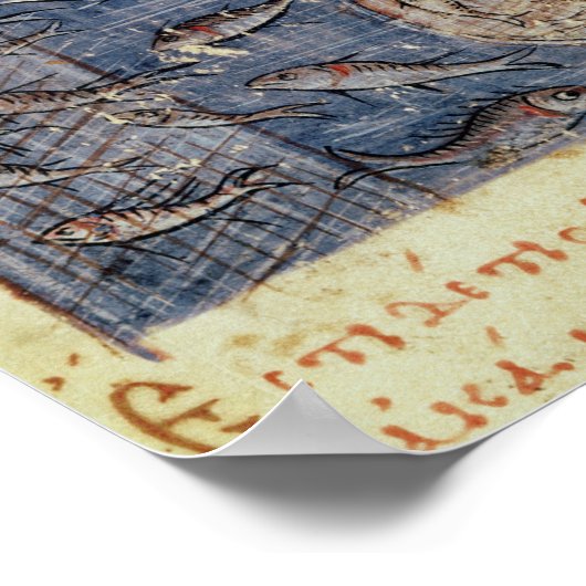 Vist met een net poster (Hoek)