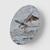 Vist Osprey & Catch 3 Wildlife Foto Ronde Klok (Hoek)