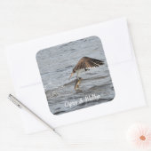 Vist Osprey & Catch 3 Wildlife Foto Vierkante Sticker (Envelop)