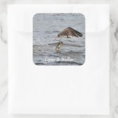 Vist Osprey & Catch 3 Wildlife Foto Vierkante Sticker (Tas)