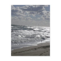 Vist stranden en dromen