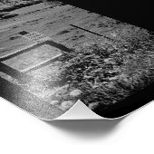 Vist teken foto afdruk (Hoek)