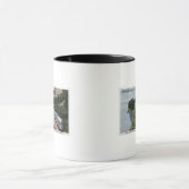 Vista Dome Twin Zephers Railroad Mok (Midden)