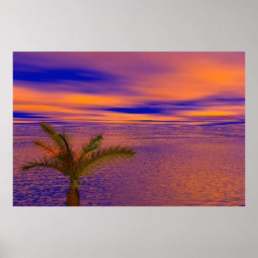 Vista Poster (Voorkant)