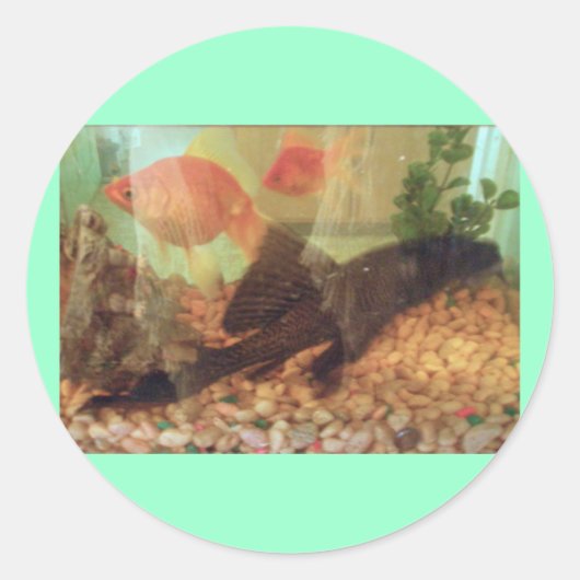 Vistanker Ronde Sticker (Voorkant)