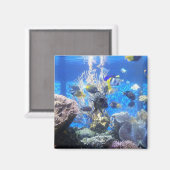 Vistankmagneet Magneet (Voorkant / Achterkant)