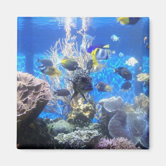 Vistankmagneet Magneet (Voorkant)