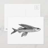  vistekening briefkaart (Voorkant / Achterkant)