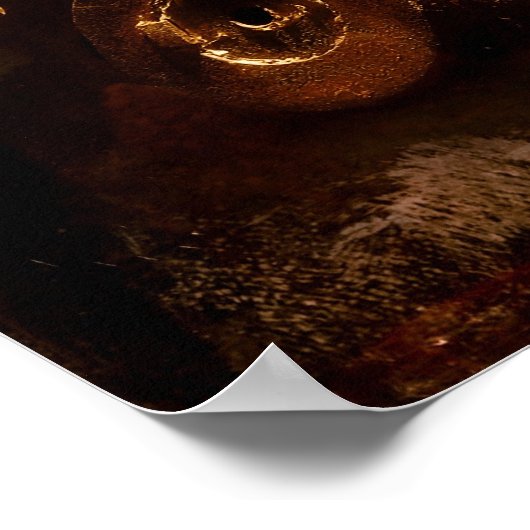 Vistuig Poster (Hoek)