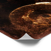 Vistuig Poster (Hoek)