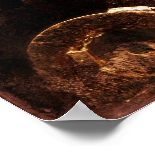 Vistuig Poster (Hoek)