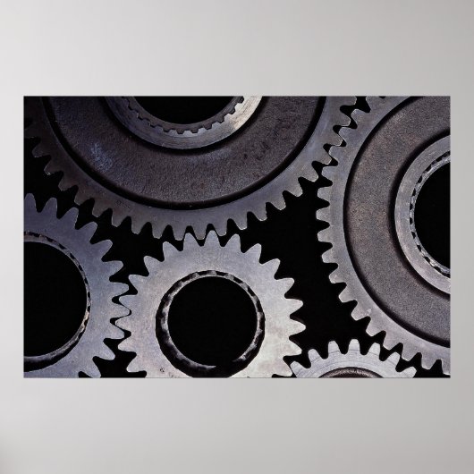 Vistuig Poster (Voorkant)