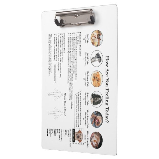 Visual Pain Assessment Doctors Office Klembord (Links)
