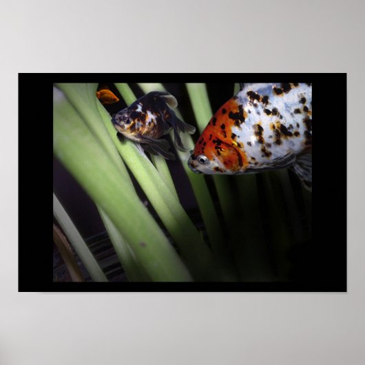 visvangst poster (Voorkant)