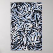 Visvangst Poster (Voorkant)