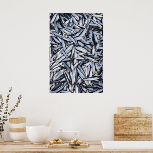 Visvangst Poster (Keuken)