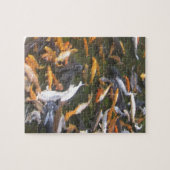 visvijver legpuzzel (Horizontaal)