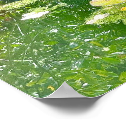 Visvijvertuin in Puerto Vallarta Poster (Hoek)