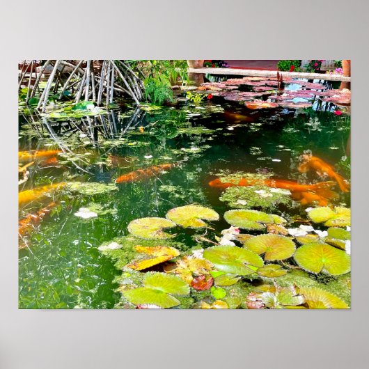 Visvijvertuin in Puerto Vallarta Poster (Voorkant)