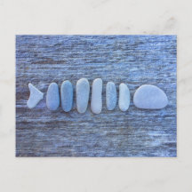 Visvormige rotskunst