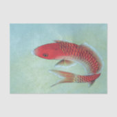 VISweefselpapier Tissuepapier (Voorkant)