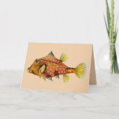 viswikkel wenskaart kaart (Voorkant)