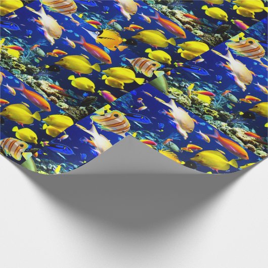 viszee cadeaupapier (Hoek)