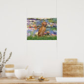 Viszla 2 - Vizsla Poster (Keuken)