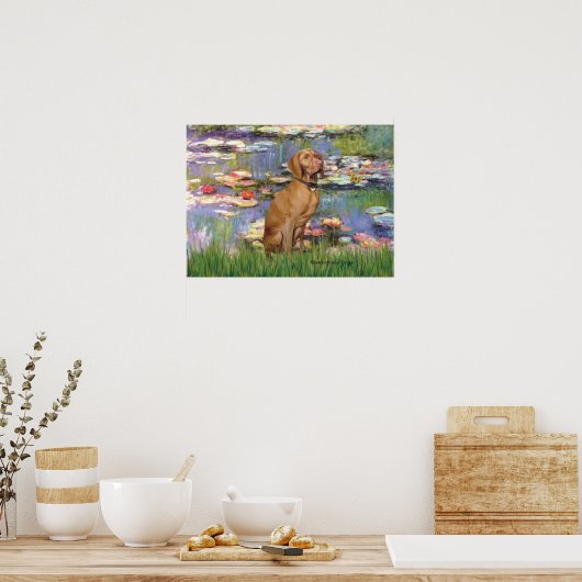 Viszla 2 - Vizsla Poster (Keuken)