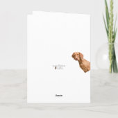 Viszla Hond verjaardagskaart Kaart (Achterkant)