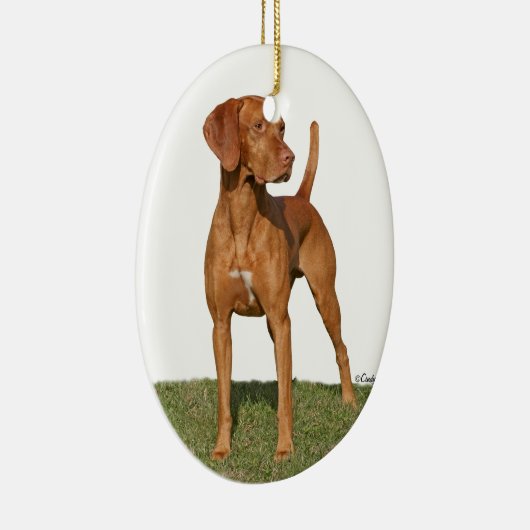 Viszla jagende hond Ornament (Rechts)