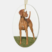 Viszla jagende hond Ornament (Links)