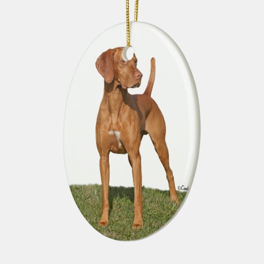Viszla jagende hond Ornament (Links)