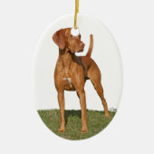 Viszla jagende hond Ornament (Voorkant)