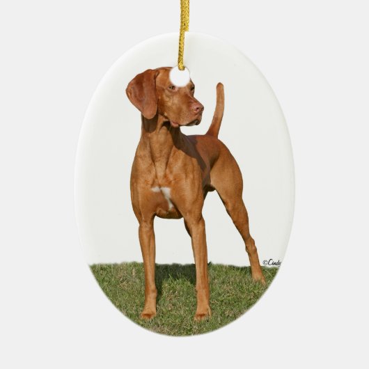 Viszla jagende hond Ornament (Voorkant)