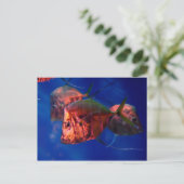 Viszwemmen in Neon Briefkaart (Staand voorkant)