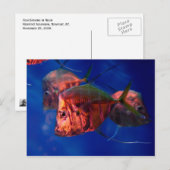 Viszwemmen in Neon Briefkaart (Voorkant / Achterkant)