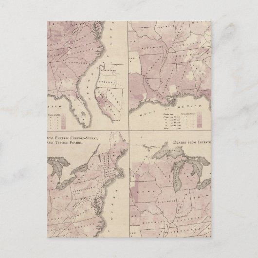 Vital Statistics, United States Census Briefkaart (Voorkant)