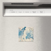 Vitale statistieken, United Census Magneet (Insitu (Vaatwasser))