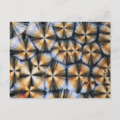 Vitamine C-kristallen onder de microscoop Briefkaart (Voorkant)