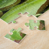 Vitoria Regis, grote waterlelaars in het Amazonege Legpuzzel (Zijkant)