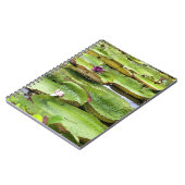 Vitoria Regis, grote waterlelaars in het Amazonege Notitieboek (Linkerzijde)