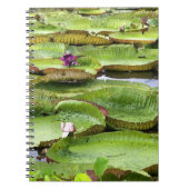 Vitoria Regis, grote waterlelaars in het Amazonege Notitieboek (Voorkant)