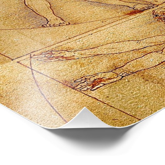 Vitruviaans Man door Leonardo da Vinci Foto Afdruk (Hoek)